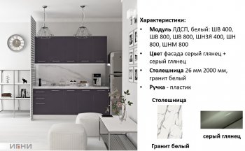 Кухонный гарнитур 2000 мм Агата (Игни) в Алапаевске - alapaevsk.mebel-e96.ru