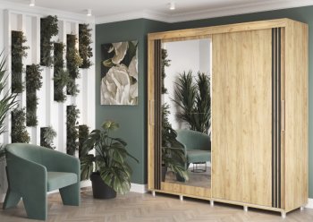 Шкаф-купе 2000 мм Форест крафт золотой(Стиль) в Алапаевске - alapaevsk.mebel-e96.ru