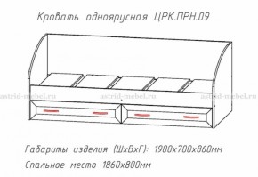 Кровать одноярусная Принцесса (ЦРК.ПРН.09) (АстридМ) в Алапаевске - alapaevsk.mebel-e96.ru