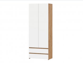 Стол компьютерный Некст-1 + Шкаф (СВ) в Алапаевске - alapaevsk.mebel-e96.ru