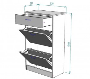 Обувница W21 (ДМ) в Алапаевске - alapaevsk.mebel-e96.ru