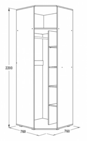 Шкаф 1-но дверный угловой Ольга-14 (760*760) в Алапаевске - alapaevsk.mebel-e96.ru