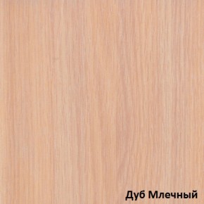 Шкаф-купе Рио 1-600 Амели (полки справа) в Алапаевске - alapaevsk.mebel-e96.ru