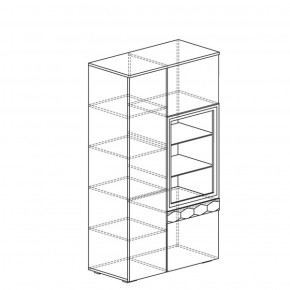 Шкаф многоцелевой Дели 62 (Яна) в Алапаевске - alapaevsk.mebel-e96.ru