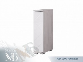 Тумба узкая ТБ-21 Кимберли (БТС) в Алапаевске - alapaevsk.mebel-e96.ru | фото