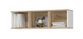Полка Юкки ПЛ 1 1200 (СтендМ) в Алапаевске - alapaevsk.mebel-e96.ru